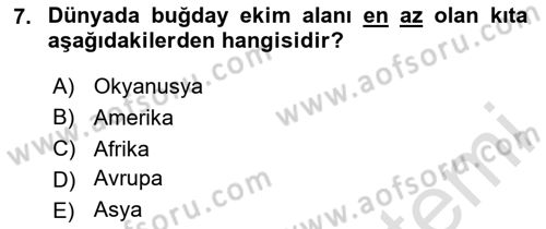 Tarla Bitkileri 1 Dersi 2023 - 2024 Yılı Yaz Okulu Sınav Soruları 7. Soru