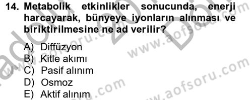 Toprak Bilgisi ve Bitki Besleme Dersi 2012 - 2013 Yılı (Final) Dönem Sonu Sınav Soruları 14. Soru