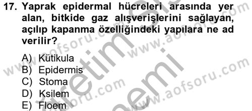 Toprak Bilgisi ve Bitki Besleme Dersi 2012 - 2013 Yılı (Final) Dönem Sonu Sınav Soruları 17. Soru