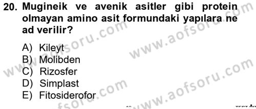 Toprak Bilgisi ve Bitki Besleme Dersi 2012 - 2013 Yılı (Final) Dönem Sonu Sınav Soruları 20. Soru