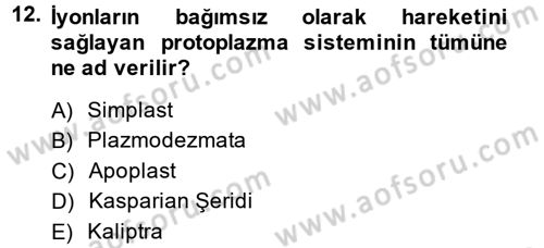 Toprak Bilgisi ve Bitki Besleme Dersi 2013 - 2014 Yılı (Final) Dönem Sonu Sınav Soruları 12. Soru
