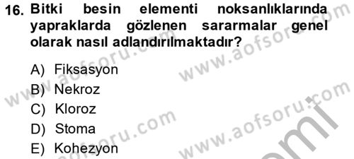 Toprak Bilgisi ve Bitki Besleme Dersi 2013 - 2014 Yılı (Final) Dönem Sonu Sınav Soruları 16. Soru