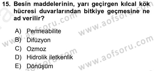 Toprak Bilgisi ve Bitki Besleme Dersi 2015 - 2016 Yılı (Vize) Ara Sınav Soruları 15. Soru