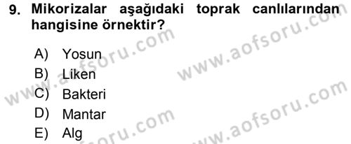 Toprak Bilgisi ve Bitki Besleme Dersi 2015 - 2016 Yılı (Vize) Ara Sınav Soruları 9. Soru