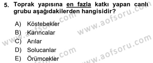 Toprak Bilgisi ve Bitki Besleme Dersi 2016 - 2017 Yılı (Vize) Ara Sınav Soruları 5. Soru