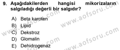 Toprak Bilgisi ve Bitki Besleme Dersi 2016 - 2017 Yılı (Vize) Ara Sınav Soruları 9. Soru