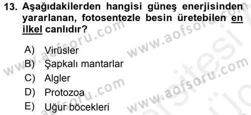 Toprak Bilgisi ve Bitki Besleme Dersi 2017 - 2018 Yılı 3 Ders Sınav Soruları 13. Soru