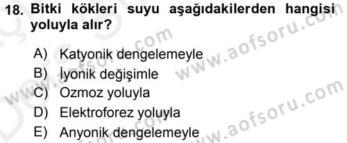 Toprak Bilgisi ve Bitki Besleme Dersi 2017 - 2018 Yılı 3 Ders Sınav Soruları 18. Soru