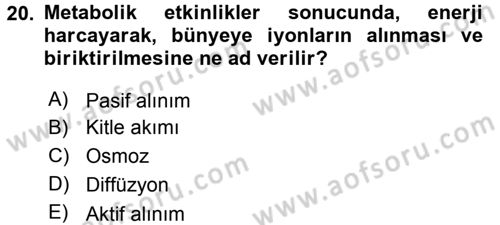 Toprak Bilgisi ve Bitki Besleme Dersi 2017 - 2018 Yılı 3 Ders Sınav Soruları 20. Soru
