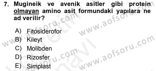 Toprak Bilgisi ve Bitki Besleme Dersi 2017 - 2018 Yılı 3 Ders Sınav Soruları 7. Soru
