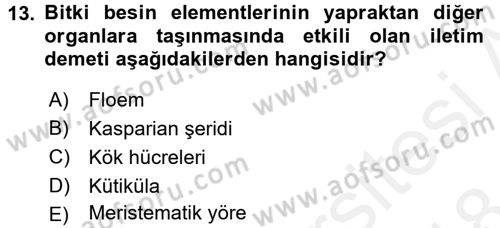 Toprak Bilgisi ve Bitki Besleme Dersi 2017 - 2018 Yılı (Final) Dönem Sonu Sınav Soruları 13. Soru