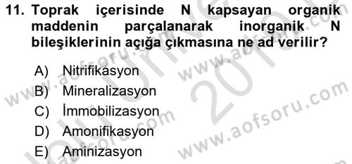 Toprak Bilgisi ve Bitki Besleme Dersi 2018 - 2019 Yılı 3 Ders Sınavı 11. Soru