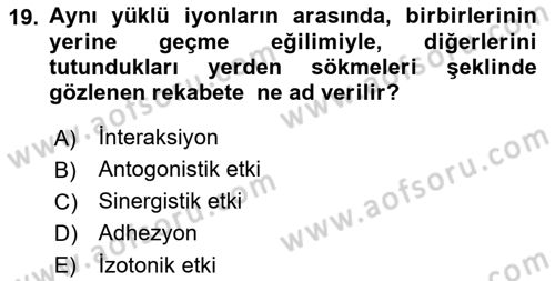 Toprak Bilgisi ve Bitki Besleme Dersi 2018 - 2019 Yılı 3 Ders Sınavı 19. Soru