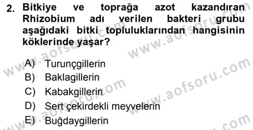 Toprak Bilgisi ve Bitki Besleme Dersi 2018 - 2019 Yılı (Final) Dönem Sonu Sınav Soruları 2. Soru
