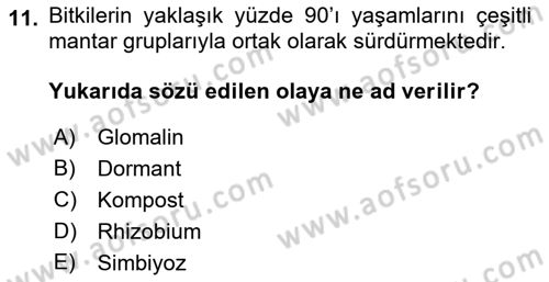 Toprak Bilgisi ve Bitki Besleme Dersi 2018 - 2019 Yılı Yaz Okulu Sınavı 11. Soru