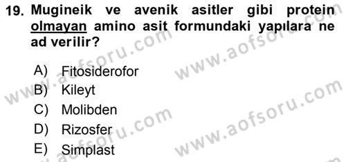 Toprak Bilgisi ve Bitki Besleme Dersi 2018 - 2019 Yılı Yaz Okulu Sınav Soruları 19. Soru
