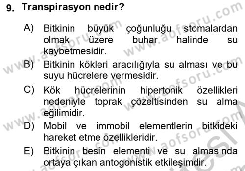 Toprak Bilgisi ve Bitki Besleme Dersi 2018 - 2019 Yılı Yaz Okulu Sınavı 9. Soru