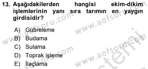 Toprak Bilgisi ve Bitki Besleme Dersi 2020 - 2021 Yılı Yaz Okulu Sınav Soruları 13. Soru