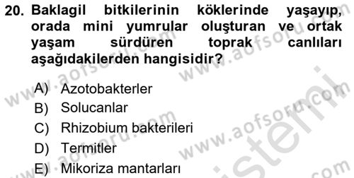Toprak Bilgisi ve Bitki Besleme Dersi 2020 - 2021 Yılı Yaz Okulu Sınav Soruları 20. Soru