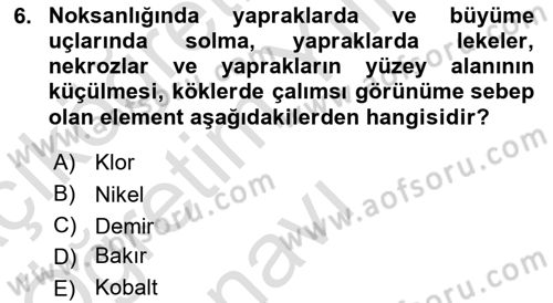 Toprak Bilgisi ve Bitki Besleme Dersi 2020 - 2021 Yılı Yaz Okulu Sınav Soruları 6. Soru
