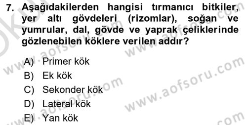 Toprak Bilgisi ve Bitki Besleme Dersi 2020 - 2021 Yılı Yaz Okulu Sınav Soruları 7. Soru
