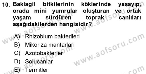 Toprak Bilgisi ve Bitki Besleme Dersi 2021 - 2022 Yılı (Vize) Ara Sınav Soruları 10. Soru