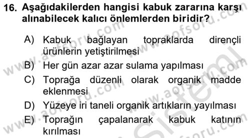 Toprak Bilgisi ve Bitki Besleme Dersi 2021 - 2022 Yılı (Vize) Ara Sınav Soruları 16. Soru
