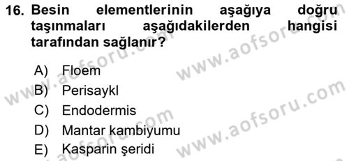 Toprak Bilgisi ve Bitki Besleme Dersi 2021 - 2022 Yılı (Final) Dönem Sonu Sınav Soruları 16. Soru
