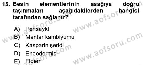 Toprak Bilgisi ve Bitki Besleme Dersi 2021 - 2022 Yılı Yaz Okulu Sınavı 15. Soru