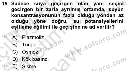 Toprak Bilgisi ve Bitki Besleme Dersi 2022 - 2023 Yılı Yaz Okulu Sınav Soruları 15. Soru
