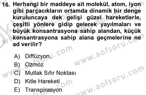 Toprak Bilgisi ve Bitki Besleme Dersi 2022 - 2023 Yılı Yaz Okulu Sınav Soruları 16. Soru