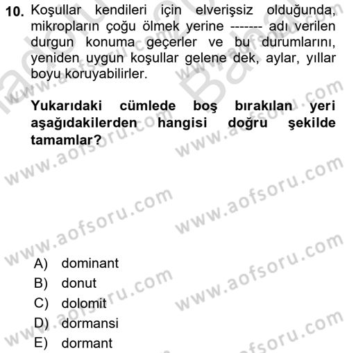 Toprak Bilgisi ve Bitki Besleme Dersi 2023 - 2024 Yılı (Vize) Ara Sınav Soruları 10. Soru