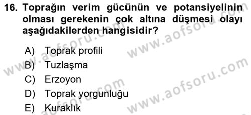 Toprak Bilgisi ve Bitki Besleme Dersi 2023 - 2024 Yılı (Vize) Ara Sınav Soruları 16. Soru