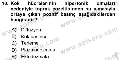 Toprak Bilgisi ve Bitki Besleme Dersi 2023 - 2024 Yılı (Final) Dönem Sonu Sınav Soruları 10. Soru