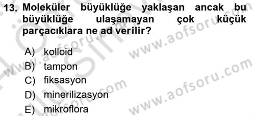 Toprak Bilgisi ve Bitki Besleme Dersi 2023 - 2024 Yılı Yaz Okulu Sınav Soruları 13. Soru