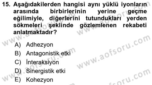 Toprak Bilgisi ve Bitki Besleme Dersi 2023 - 2024 Yılı Yaz Okulu Sınav Soruları 15. Soru