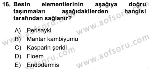 Toprak Bilgisi ve Bitki Besleme Dersi 2023 - 2024 Yılı Yaz Okulu Sınav Soruları 16. Soru