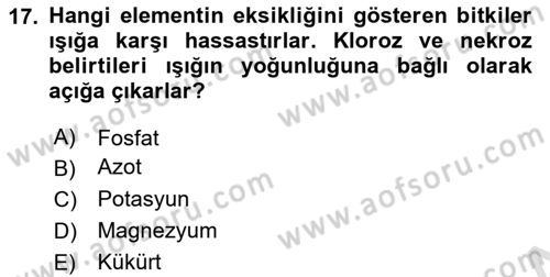 Toprak Bilgisi ve Bitki Besleme Dersi 2023 - 2024 Yılı Yaz Okulu Sınav Soruları 17. Soru