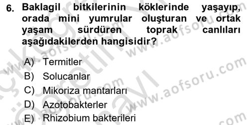 Toprak Bilgisi ve Bitki Besleme Dersi 2023 - 2024 Yılı Yaz Okulu Sınav Soruları 6. Soru