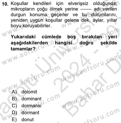 Toprak Bilgisi ve Bitki Besleme Dersi 2024 - 2025 Yılı (Vize) Ara Sınav Soruları 10. Soru