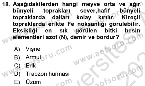 Toprak Bilgisi ve Bitki Besleme Dersi 2024 - 2025 Yılı (Vize) Ara Sınav Soruları 18. Soru