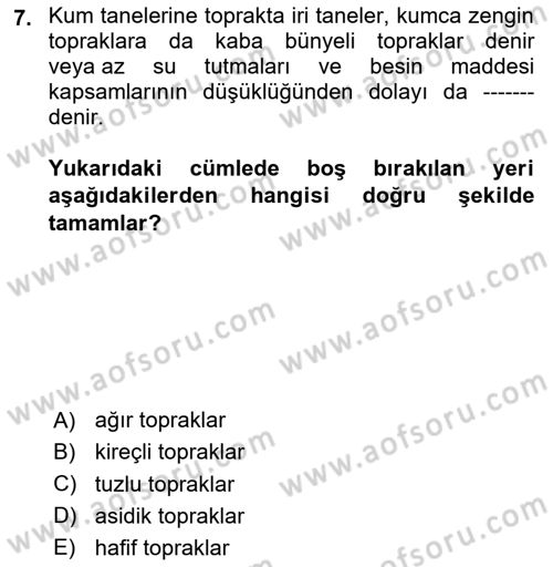 Toprak Bilgisi ve Bitki Besleme Dersi 2024 - 2025 Yılı (Vize) Ara Sınav Soruları 7. Soru