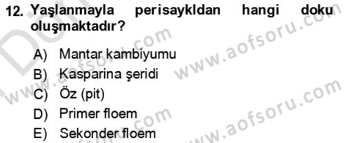 Toprak Bilgisi ve Bitki Besleme Dersi 2024 - 2025 Yılı (Final) Dönem Sonu Sınav Soruları 12. Soru