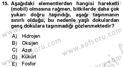 Toprak Bilgisi ve Bitki Besleme Dersi 2024 - 2025 Yılı (Final) Dönem Sonu Sınav Soruları 15. Soru