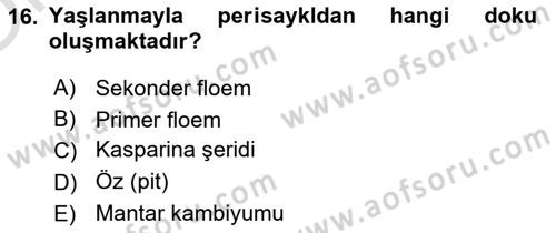 Toprak Bilgisi ve Bitki Besleme Dersi 2024 - 2025 Yılı Yaz Okulu Sınav Soruları 16. Soru
