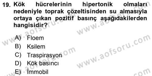 Toprak Bilgisi ve Bitki Besleme Dersi 2024 - 2025 Yılı Yaz Okulu Sınav Soruları 19. Soru