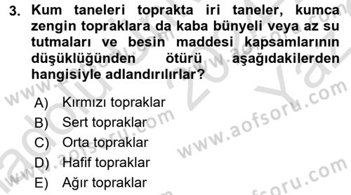 Toprak Bilgisi ve Bitki Besleme Dersi 2024 - 2025 Yılı Yaz Okulu Sınav Soruları 3. Soru