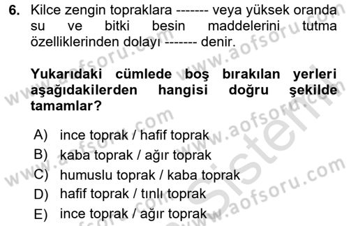Toprak Bilgisi ve Bitki Besleme Dersi 2025 - 2026 Yılı (Vize) Ara Sınav Soruları 6. Soru