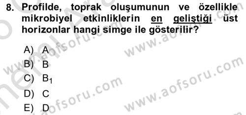 Toprak Bilgisi ve Bitki Besleme Dersi 2025 - 2026 Yılı (Vize) Ara Sınav Soruları 8. Soru