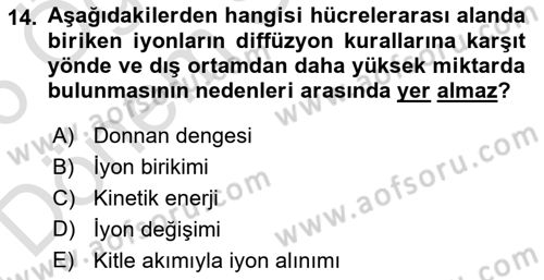 Toprak Bilgisi ve Bitki Besleme Dersi 2025 - 2026 Yılı (Final) Dönem Sonu Sınav Soruları 14. Soru